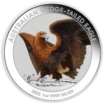 Värviline hõbemünt 1 $ Austraalia 2025 - Kiilusaba-kotkas 1 oz BU