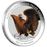 Värviline hõbemünt 1 $ Austraalia 2025 - Kiilusaba-kotkas 1 oz BU - Image 2
